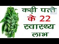 करी पत्ता के ये हैरान कर देने वाले फायदे health benefits of curry leaves