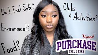 HOW DO I FEEL ABOUT SUNY PURCHASE? | honest opinion