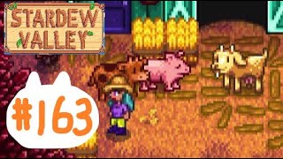 のんびり田舎暮らし#163【Stardew Valley】