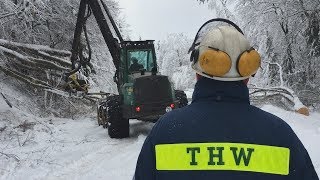 Schneebruch im Landkreis Deggendorf: Mehrere Straßensperrungen