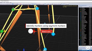 QTM 2021 Feature 3 - Identify markers using segment markers