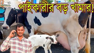 ২৫ এর কাঁপানো কালেকশন দেখুন।সবার প্রিয় বাবলু ভাইয়ের দামে কম দুূধে বেশি অফারের।জোড়ায় ফ্রী ডেলিভারি!