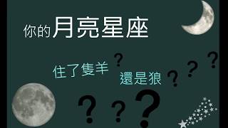 月亮星座是什麼??｜安格斯60秒告訴你｜