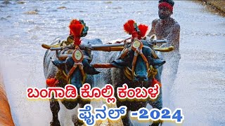 Bangadi kolli Kambala Final-2024| ಬಂಗಾಡಿ ಕೊಲ್ಲಿ ಕಂಬಳ ಫೈನಲ್