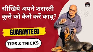 How to control your Hyper And Naughty Dog? Effective Easy Tips | Baadal Bhandaari