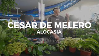 Deep classics house songs with Cesar de Melero at ISE  2025 x Ecler DJ - Alocasia TV Barcelona