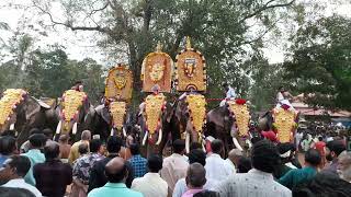 എരുമപ്പെട്ടി ശങ്കരൻകാവ് പൂരം🔥