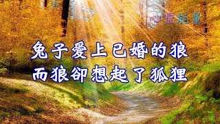 心靈能量【兔子愛上已婚的狼，而狼卻想起了狐狸】