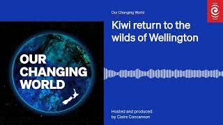 Kiwi return to the wilds of Wellington | Our Changing World