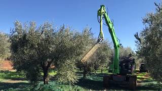 Въртяща глава за бране на дъвета - Rotating brush head for harvesting trees D16