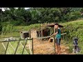 Self-reliant orphan boy Building a fence to protect a bamboo hut in the wilderness.(ep.12)