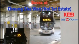 🇭🇰 Buses at Cheung Sha Wan (Hoi Tat Estate) (featuring the revival of CTB 95)