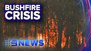 Seven people killed in NSW bushfires | Nine News Australia