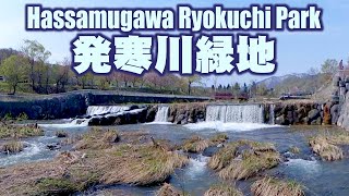 発寒川緑地を歩いてきました。I walked through Hassamugawa Ryokuchi Park.