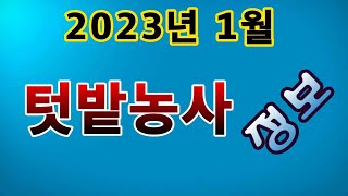 [텃밭농부.894]  2023년 1월 텃밭농사정보 #텃밭농사 #1월