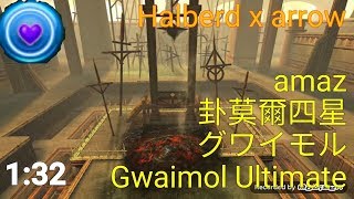 Toram Online 托蘭 卦莫爾四星 グワイモル 無悔槍矢 Regretless Halberd gwaimol Ultimate｜amaz Toram Online