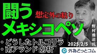 闘うメキシコペソ トランプ関税も想定外の粘り ｜どうしたトルコリラ、南アランド分析 2月5日（水）野村雅道【FX/為替】＃外為ドキッ