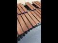 beautiful new majestic quantum marching marimba