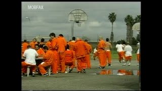 The California Prison System: Color Bars - Getting A Life