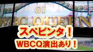 スターホース4:スペビンタ号、女王の走り[WBCQ、演出あり]