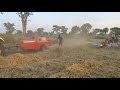 Maschio PTO Hay Rake(Golia Pro)  with Square Baler