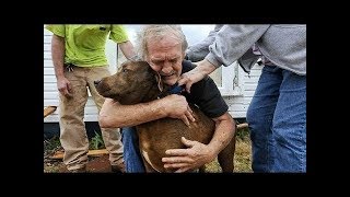 「犬感動の再会」3, 5年ぶりに飼い主に会えた犬が大号泣・せつない鳴き声に涙