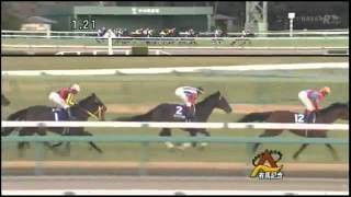 2011年 第56回 有馬記念