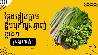 ផ្លែដង្កៀបក្តាមខ្ចីៗបុកល្ហុងឆ្ងាញ់ខ្លាំងៗ food review