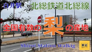 【白井駅】周辺を散策！千葉県白井市【ShiroiStation Walking in Chiba】2022/12