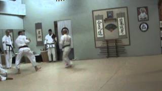 Nihon Goshin Aikido:  The Final Attack of my Sho Dan Test!