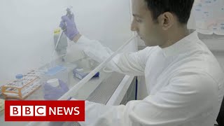 Science rejuvenates woman's skin cells to 30 years younger - BBC News