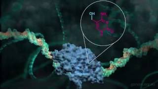 Tagging DNA: Mislabelling the Cancer Genome