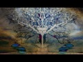 giacomo u0026 michelangelo acid tree official music video