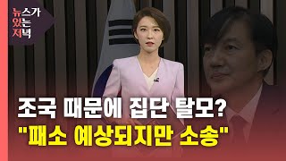 [뉴있저] '조국 때문에 집단 탈모'?...\