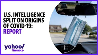 COVID-19: U.S. intelligence report shows agencies split on origins of pandemic