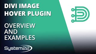 Divi Image Hover Plugin Overview And Examples ๐