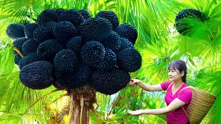 Harvesting Areca Nuts Go to Sell Market - How to Make Delicious Food | Village Daily Life