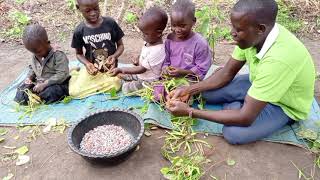 African village life#cooking village beans with sweet potatoes for lunch.