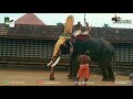 thriprayar ramachandran ormayile thalappokkam aanatthaara ആനത്താര kerala elephants