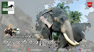 Thriprayar Ramachandran|Ormayile Thalappokkam|aanatthaara|ആനത്താര|Kerala elephants