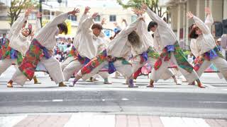 17 ＩＺＡＮＡＩ北海道・すながわ夷