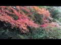 慈眼寺公園下流の紅葉