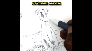 777 Charlie Drawing | Rakshit Shetty | Kiranraj K | Nobin Paul | Filp Art