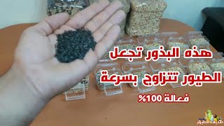 هذه البذور من أقوى المحفزات لتحفيز طيور الزينة على التزاوج ولزيادة تخصيب البيض فعالة 100%