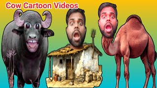 Cow | Pani lao Re | Pani lao Re cow video | bhains Wall videos #cow #buffalo #comedy #funny