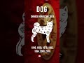 Dog Zodiac Forecast 2024 - Year of the Wood Dragon | Chinese Astrology Insights & Predictions