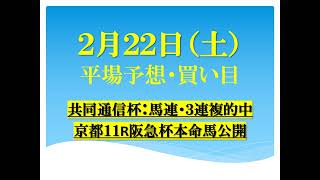 ２月２２日（土）平場予想　先週末共同通信杯馬連・３連複的中　土曜京都１１R阪急杯本命穴馬公開