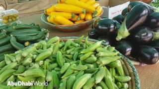 Hidden Gems: Al Rahba Organic Farm