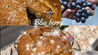 تهیه یک کیک میوه ای خوشمزه و اسان/Blueberry  Lemon Cake Recipe