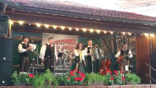 Slovenski zvoki / Slowenische Klänge - Šoferska Polka / Das wär` schön